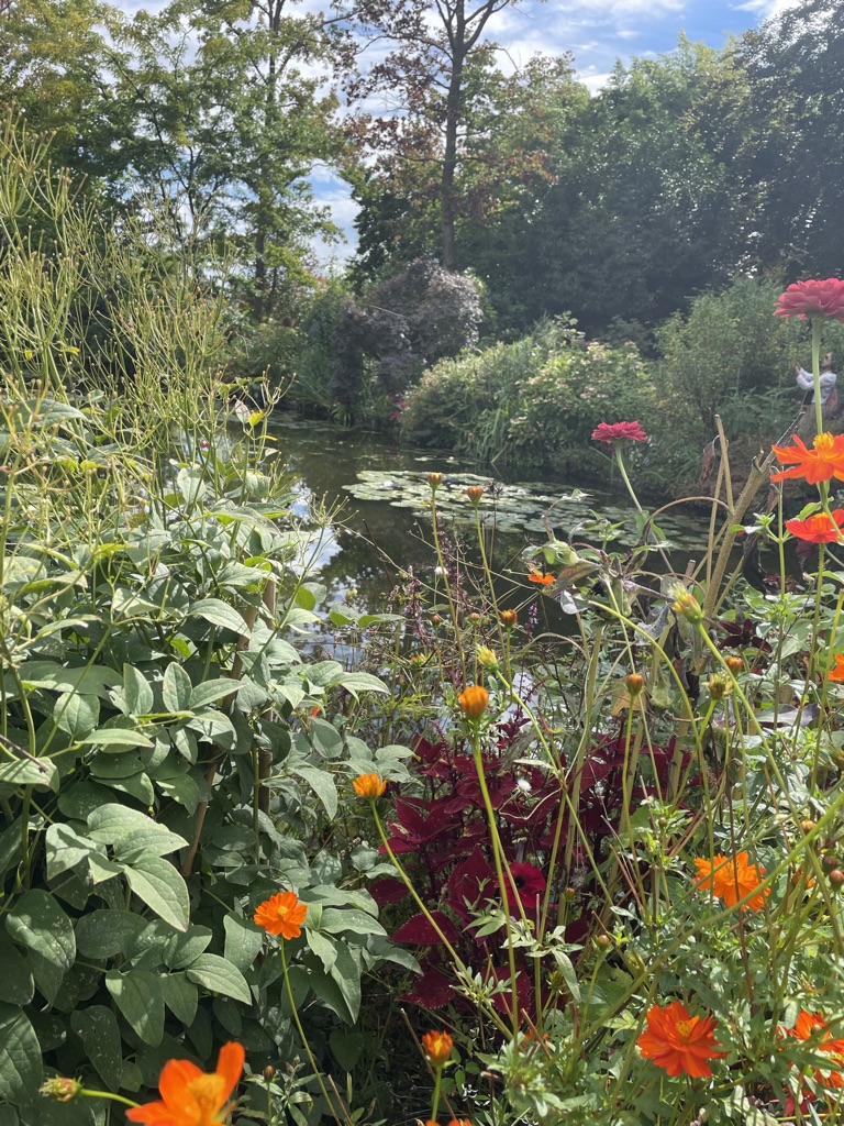 water garden Giverny, Normandy, France, Monet, Monet's paintings